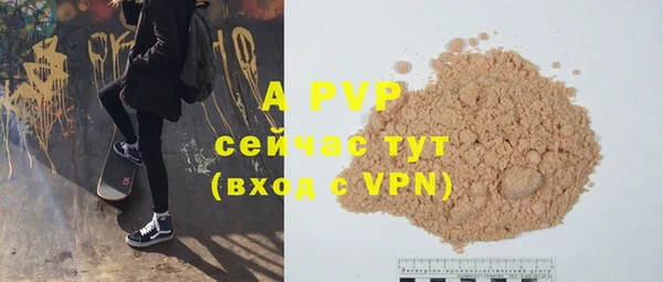 твердый Арсеньев