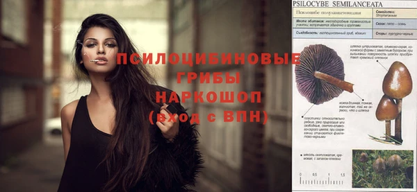 дурь Абинск