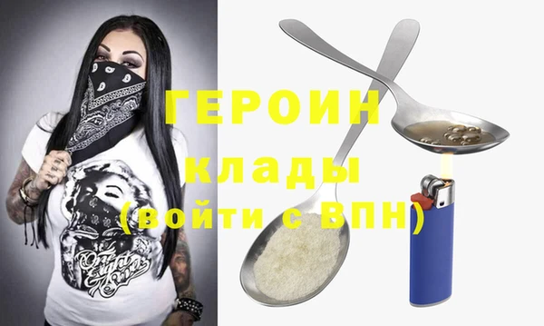 индика Няндома