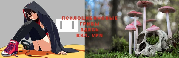 твердый Арсеньев