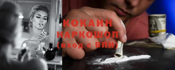 твердый Арсеньев