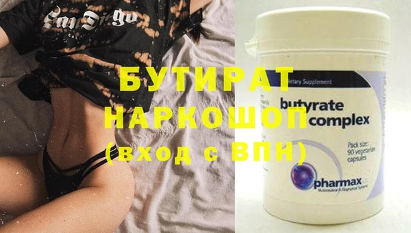 индика Няндома
