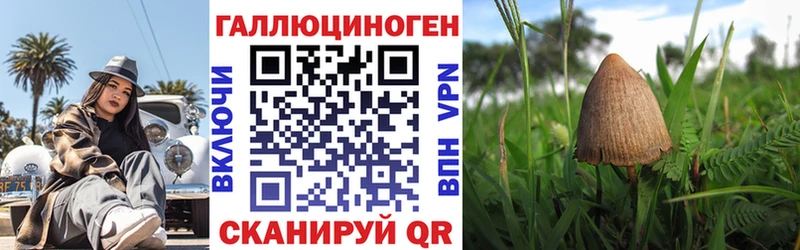 где продают Тула Псилоцибиновые грибы прущие грибы